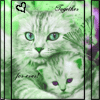 together.gif