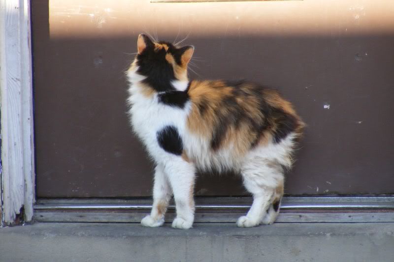 DSCF2049.jpg