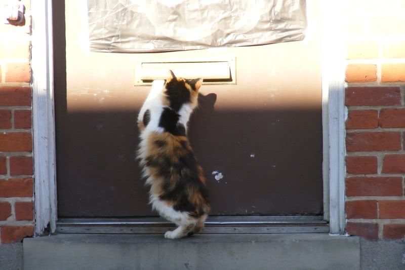 DSCF2050.jpg