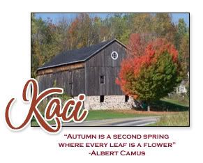 Siggy3.jpg Fall 2006-3 picture by kacierra