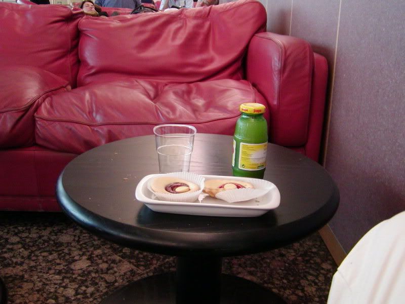 Vienna2007001.jpg