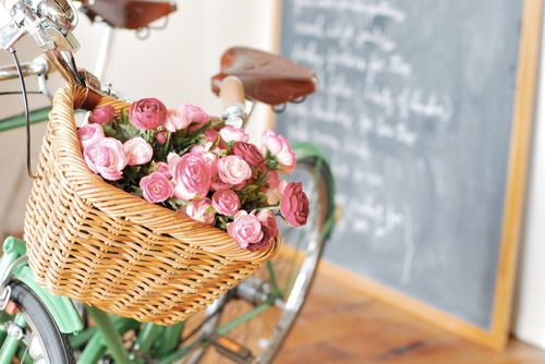 photo basket-bike-flowers-pink-Favimcom-216464.jpg
