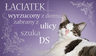 Obrazek