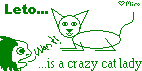 crazycatlady.png