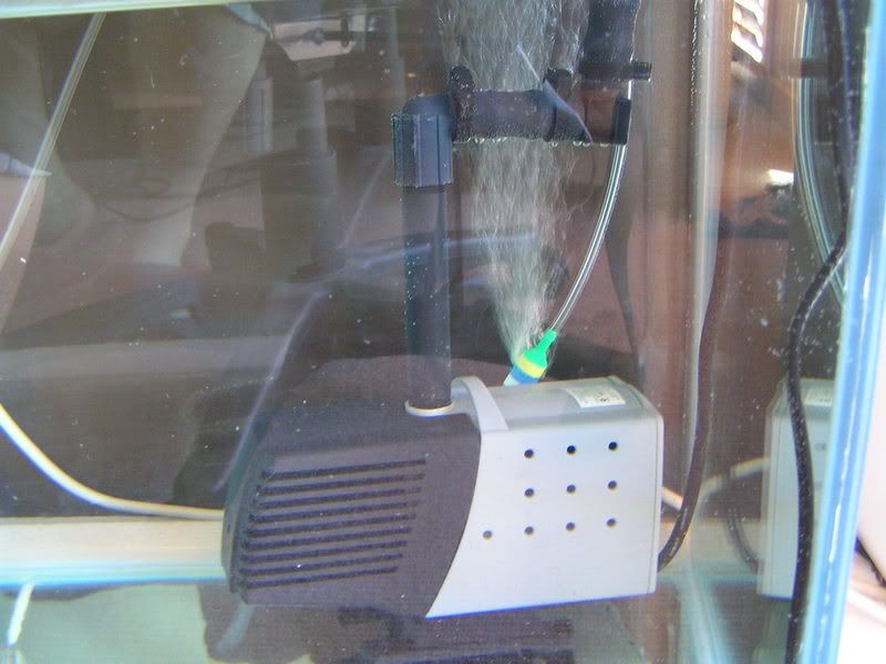 diy water change system