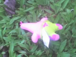 Photo Sharing and Video Hosting at Photobucket