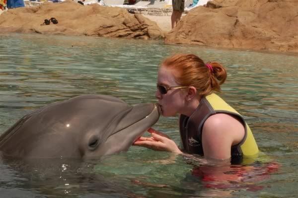 kissingdolphinsmall.jpg
