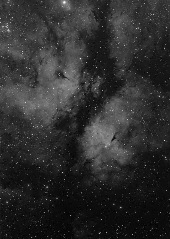 IC1318MOSAICSTACKHAsharp.jpg