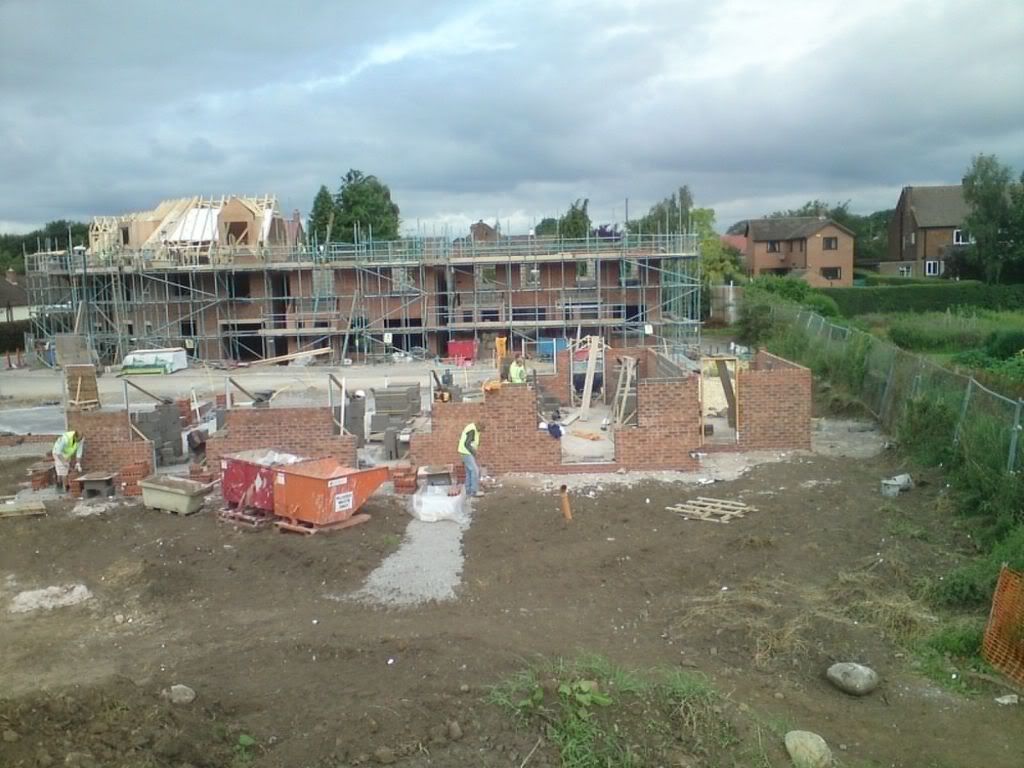 House3.jpg