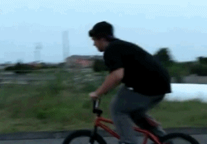 photo pavement taste gud.gif