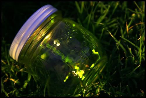 Fireflies Pictures, Images and Photos
