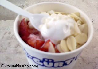 frozen yogurt in greenbelt 5