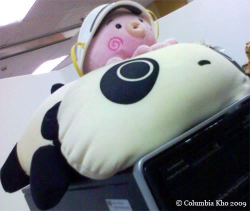 octy and tare panda plushies fighting against h1n1