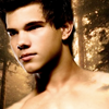 twilight saga - jacob black