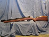 19.jpg Crossman Pro Hunter image by Stumpy_Lubnut