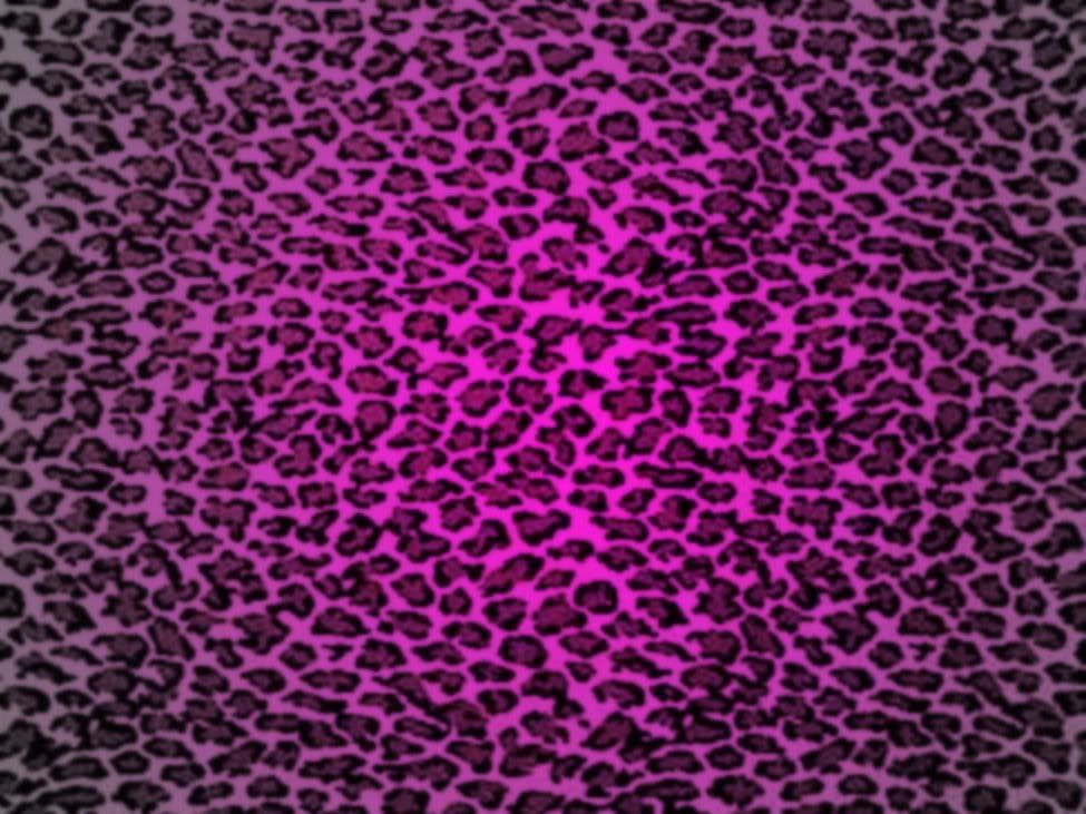 print wallpaper on Purple Leopard Print Background Image   Purple Leopard Print