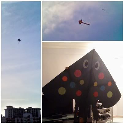 kites