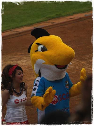 รูปภาพ