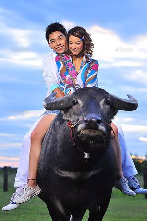 รูปภาพ