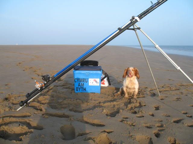 Holderness Coastline Location