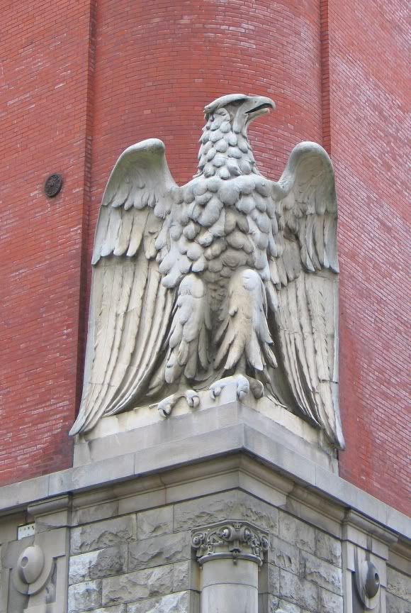 IMAGE: http://i22.photobucket.com/albums/b329/aquaticdesigns/eagle.jpg