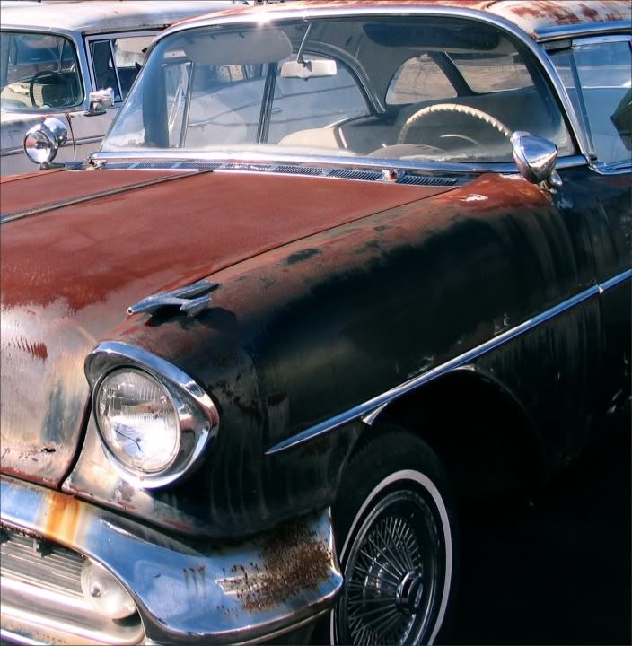 IMAGE: http://i22.photobucket.com/albums/b329/aquaticdesigns/rusty.jpg