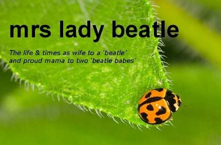 Mrs Lady Beatle