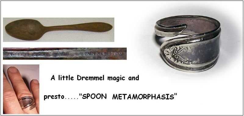 spoonmetamorphasis2.jpg