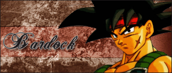 [Image: Bardockcopy.gif]