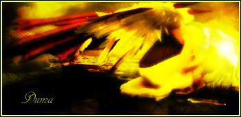 [Image: Dumasigcopy.jpg]