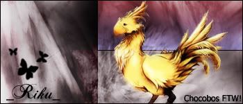 [Image: HeidisChocobocopy.jpg]