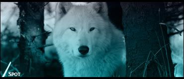 [Image: Kaickulcopy.jpg]