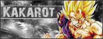 [Image: KakarotSigcopy.jpg]