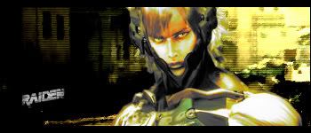 [Image: Raidencopy-1.jpg]