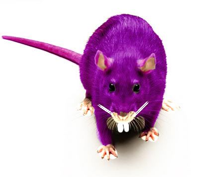 [Image: Rattatacopy.jpg]