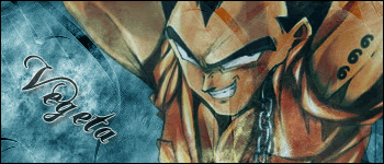 [Image: Vegetaedit.gif]