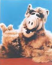 homie alf Pictures, Images and Photos