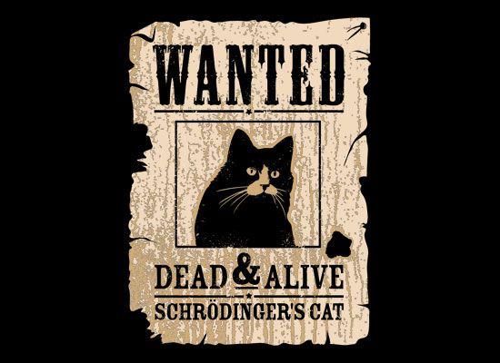 schrodingers_cat.jpg
