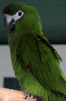 Posted Image
