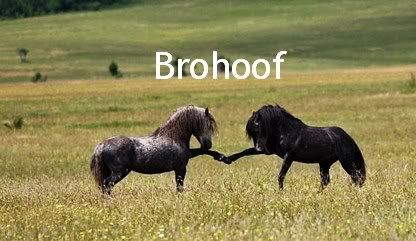 HorseBroFist.jpg