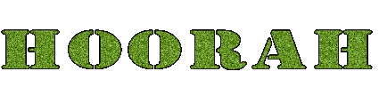 hoorah.gif