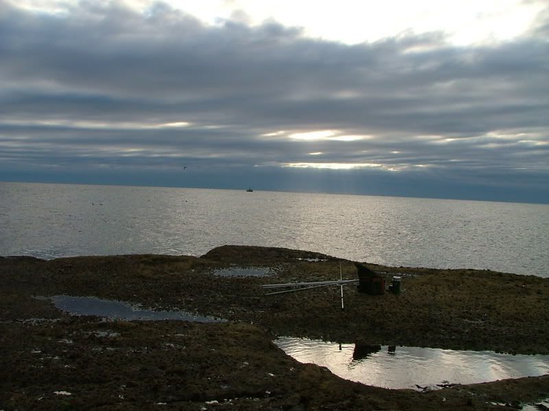 satfishing89.07001.jpg