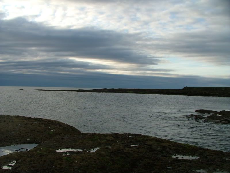 satfishing89.07002.jpg