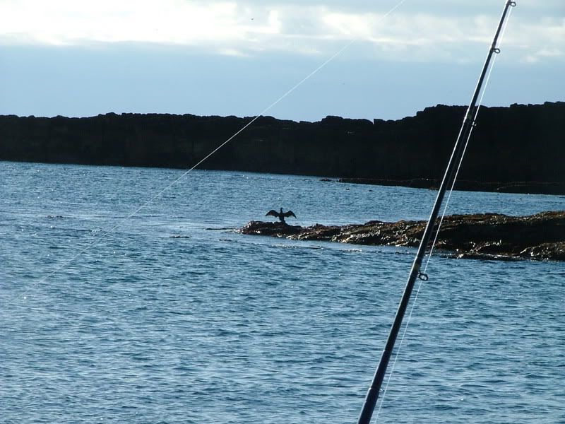 satfishing89.07007.jpg