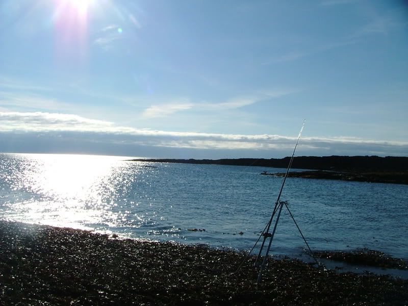 satfishing89.07010.jpg