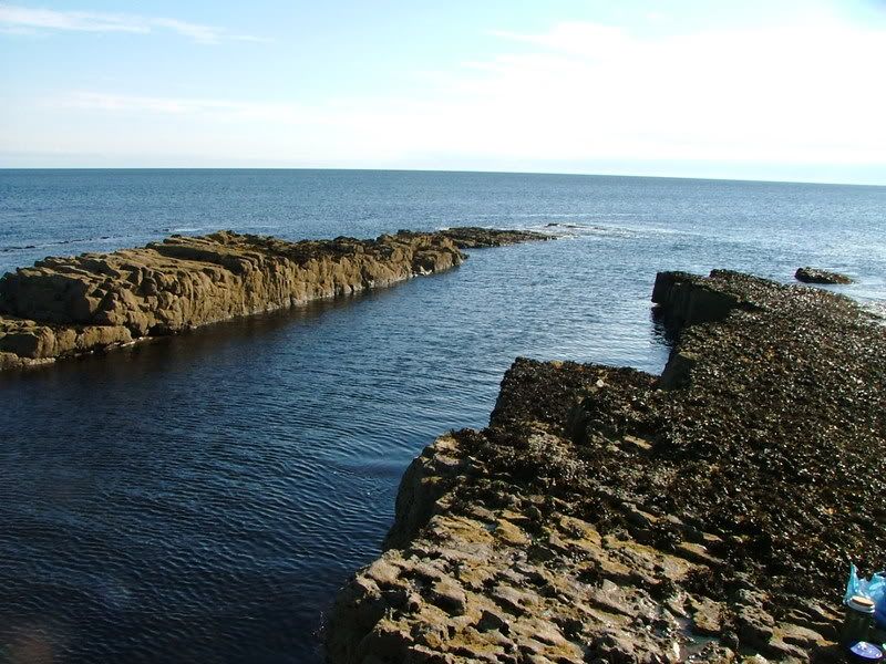 satfishing89.07011.jpg