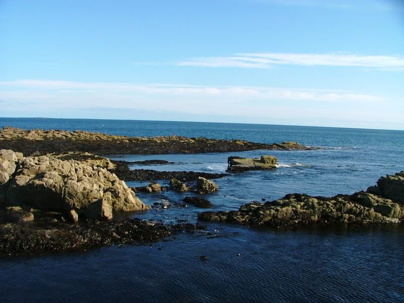 satfishing89.07012.jpg