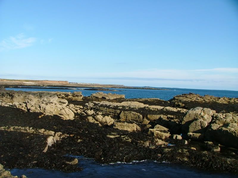 satfishing89.07013.jpg