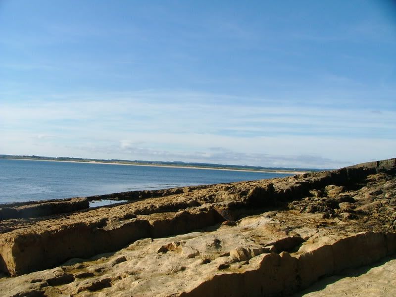 satfishing89.07018-1.jpg
