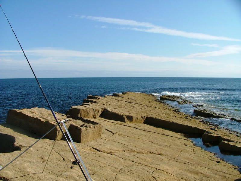 satfishing89.07019.jpg